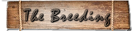 The Breeding
